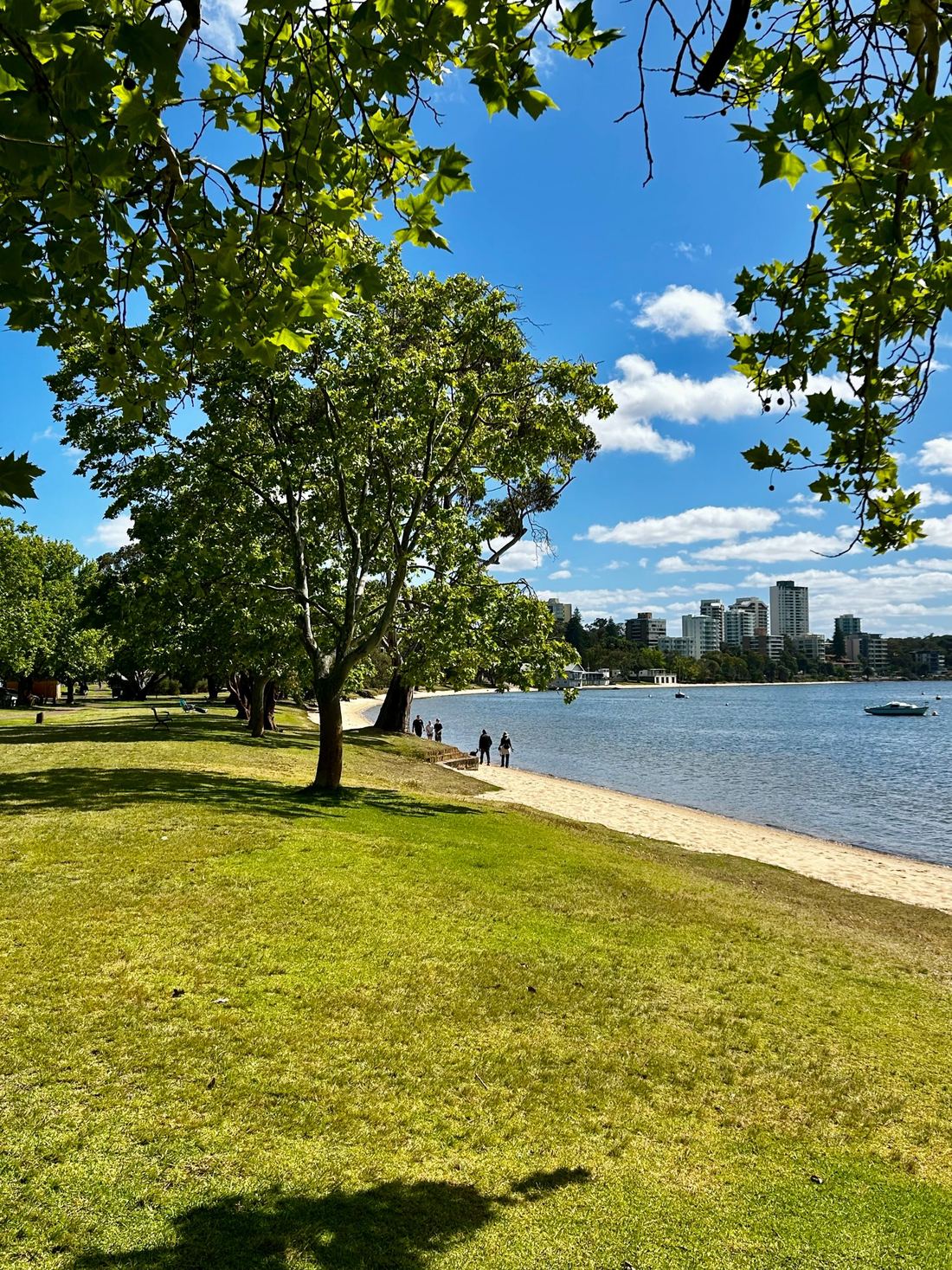 Grass, shady trees and a sandy beach along Matilda Bay on a sunny day, with people walking at the water's edge and boats moored offshore.